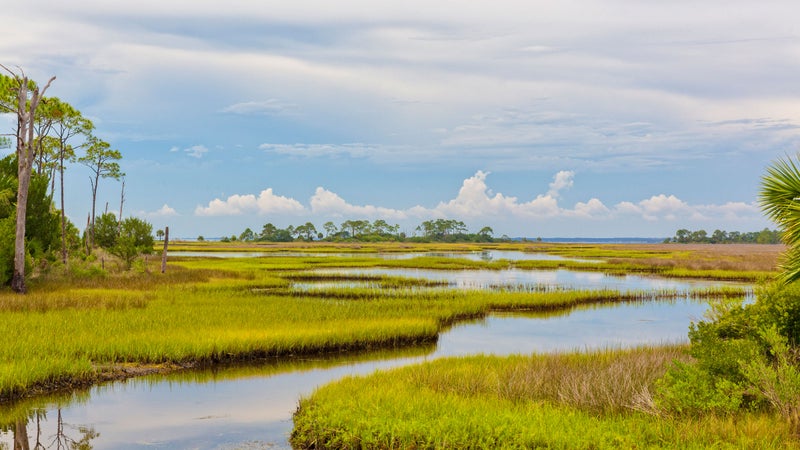 everglades tourist video