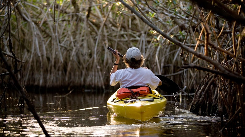 everglades national park trip