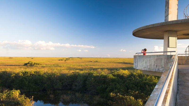 everglades tourist video