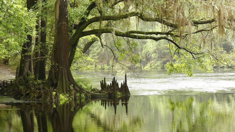 everglades national park trip