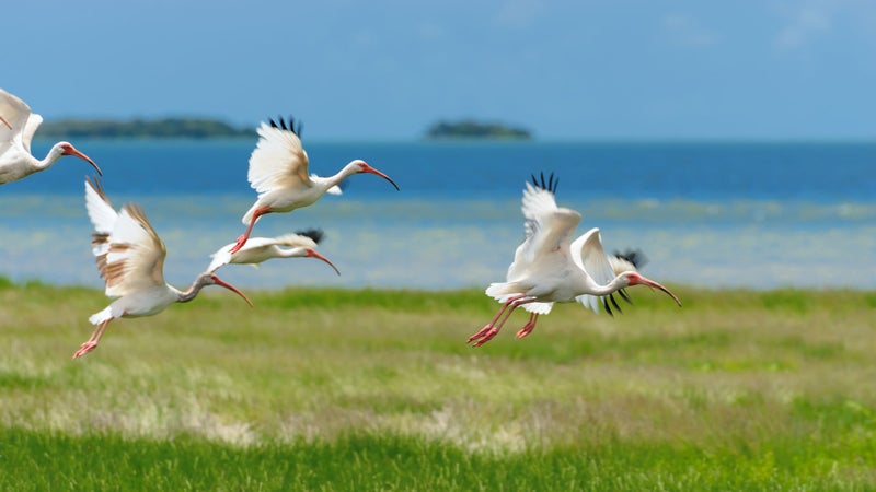 everglades national park trip