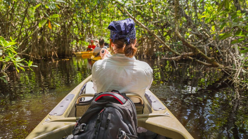 everglades tourist video