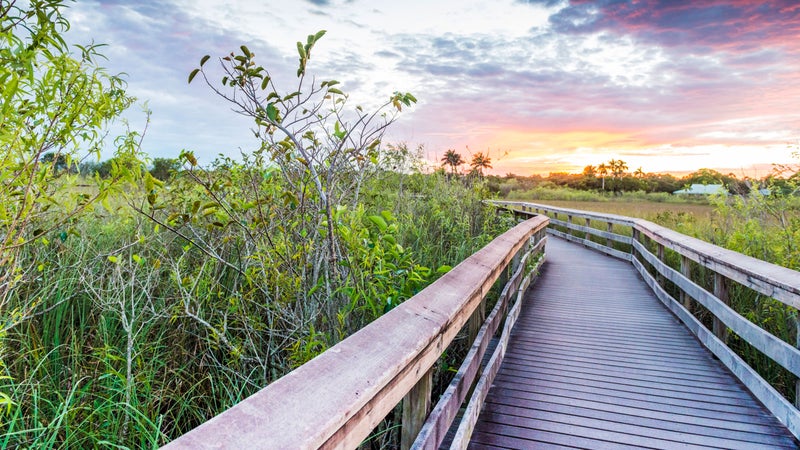 everglades national park trip