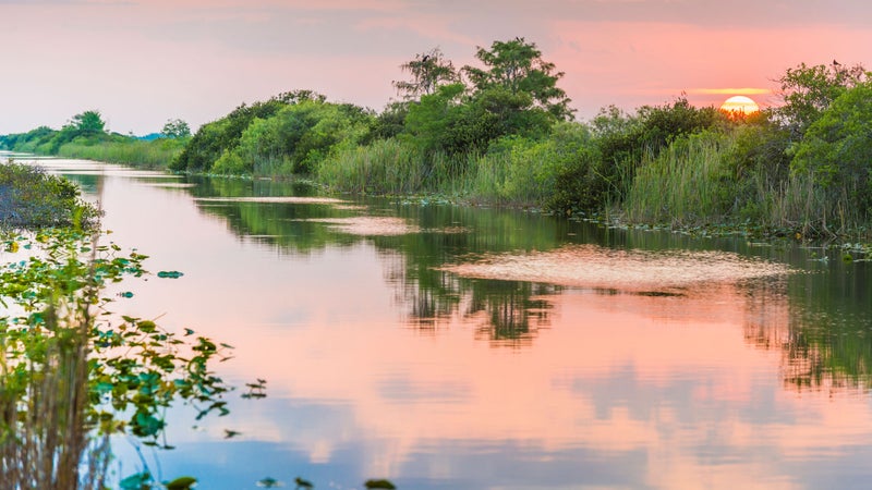 everglades tourist video