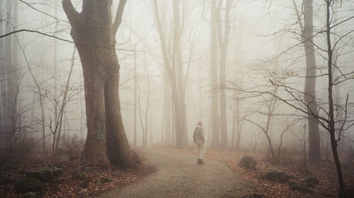 If you're up for a spookier hilke, check out these legendary haunted trails.