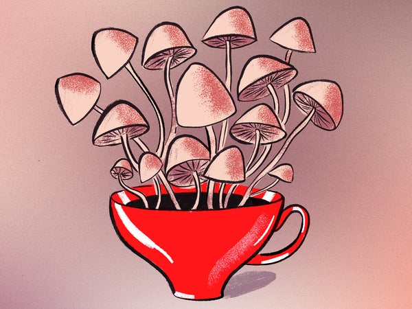 What the hell is mushroom coffee?