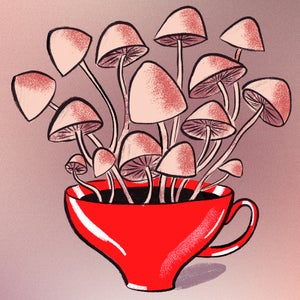What the hell is mushroom coffee?