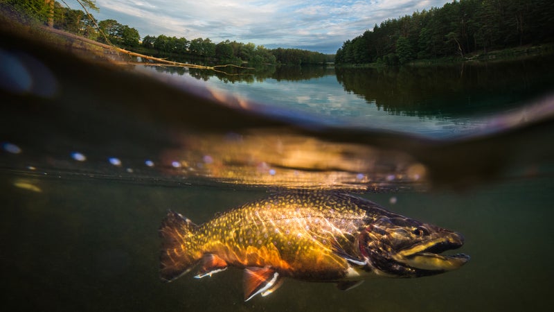 A Beginner's Guide to River Fishing – Lines on the Water