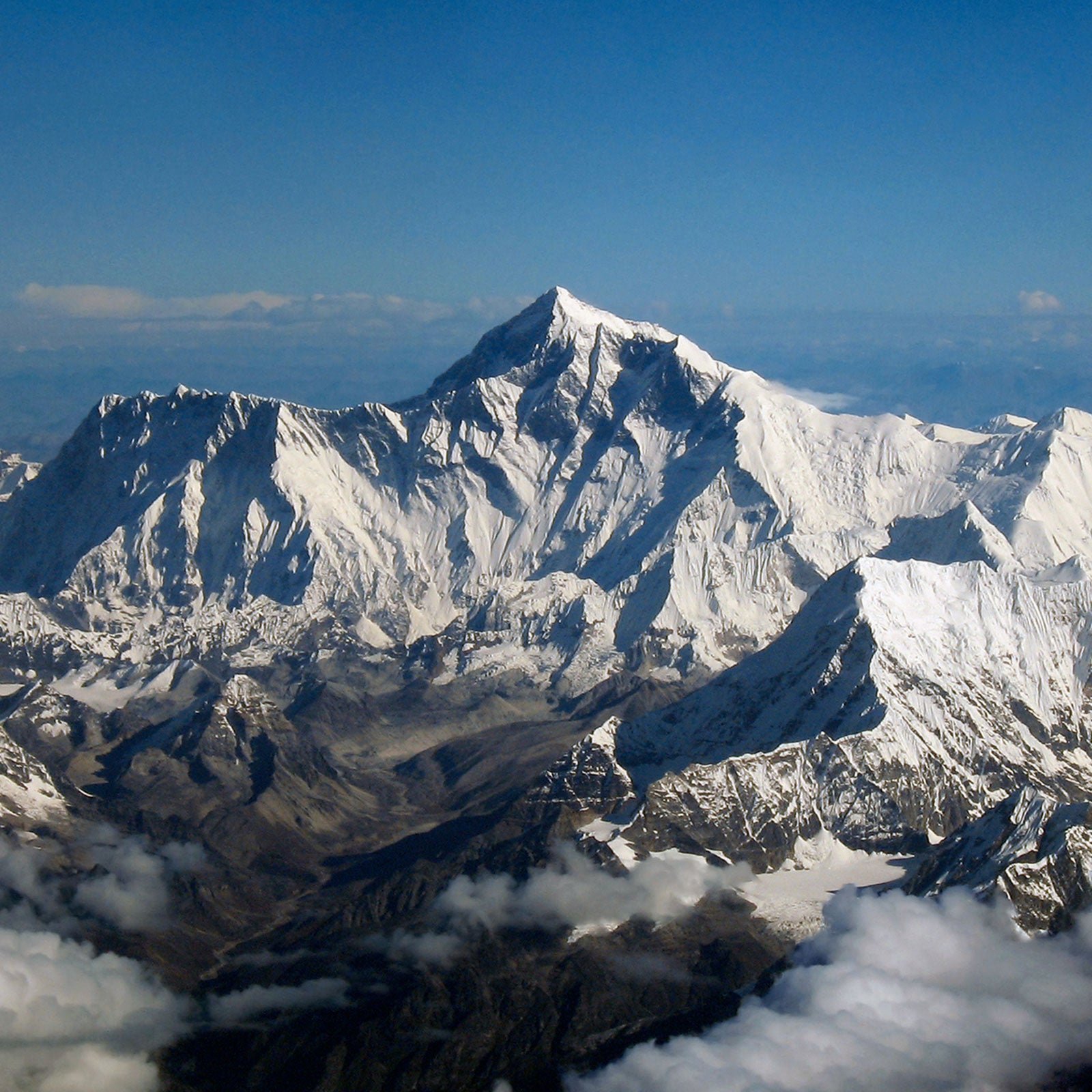 tsewang paljor