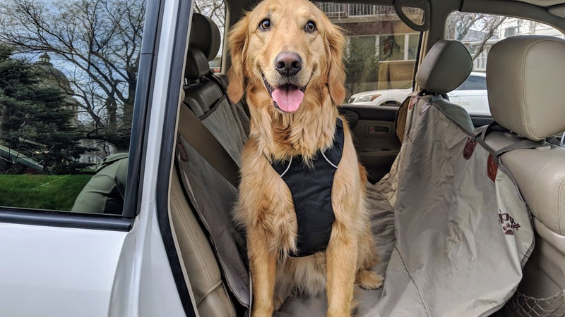 The Load Up from Ruffwear is designed to hold the dog by his chest—much better than other solutions that put pressure on his neck or shoulders.