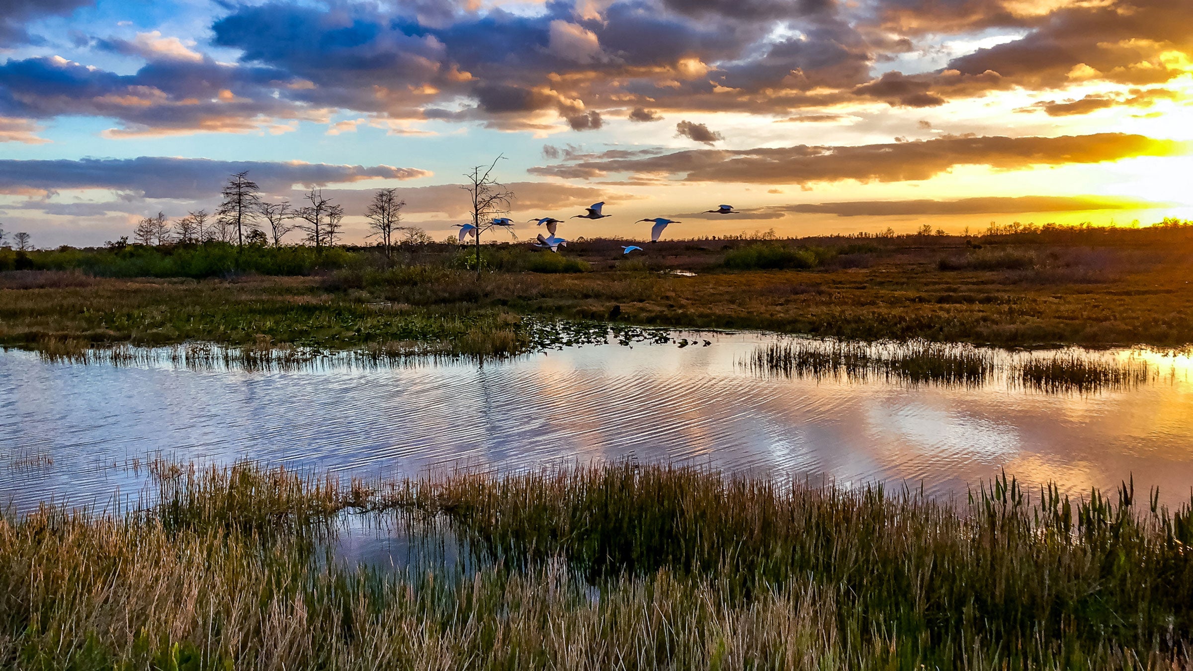 Everglades National Park: The Ultimate Guide - Outside Online