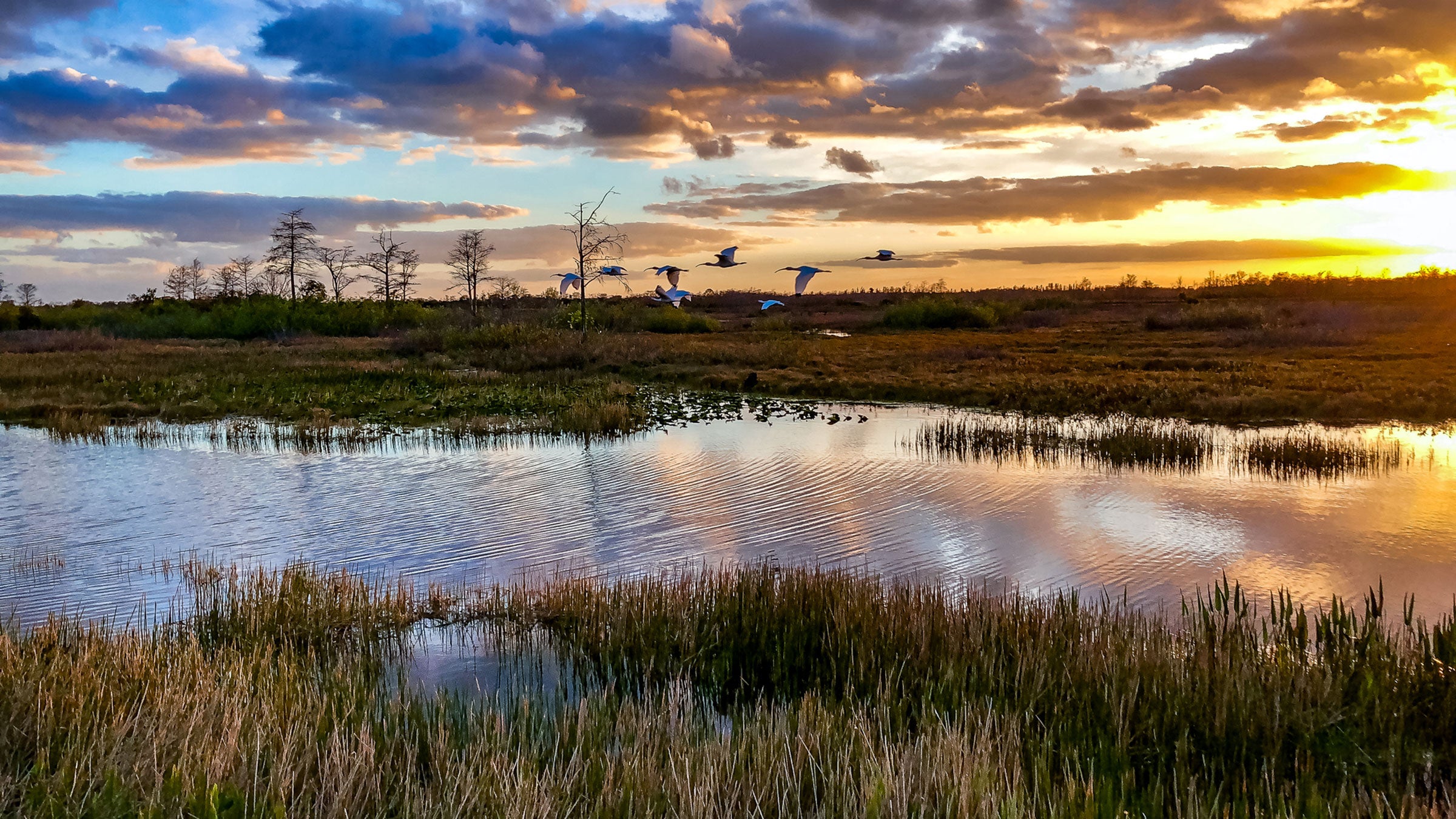 Park Trails: Sunrise & Sunset — Circle Canoe Games