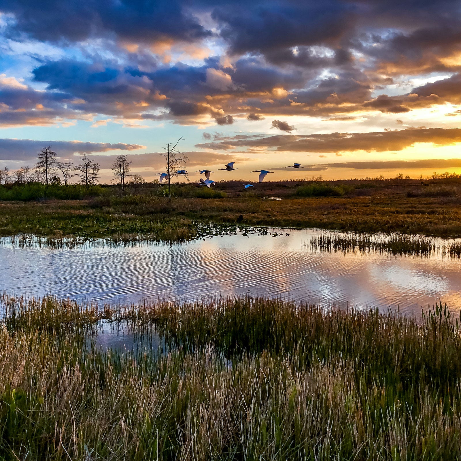 everglades national park