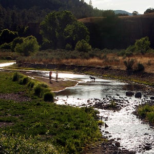 A dog plays in the Gila River as two people look on. The  river's flow is lower than usual, and the snowpack feeding it is expected to be gone by mid-century.