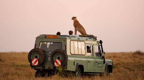 Planning a trip with the help of a travel adviser could reduce time spent wondering what to do next, save you money, and offer some amazing experiences you won't find elsewhere.