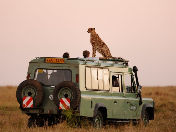 Planning a trip with the help of a travel adviser could reduce time spent wondering what to do next, save you money, and offer some amazing experiences you won't find elsewhere.