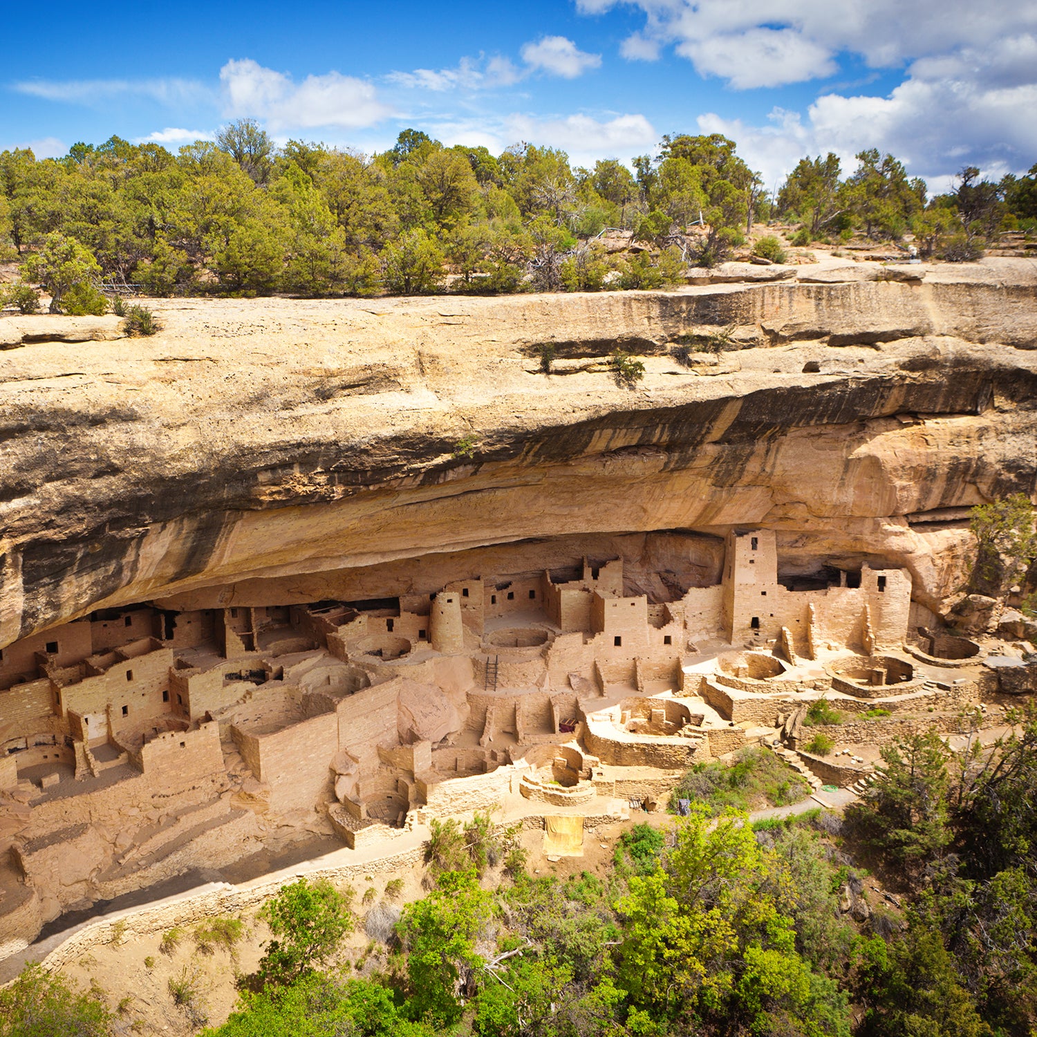 Cliff Palace in Mesa Verde National Park, Colorado