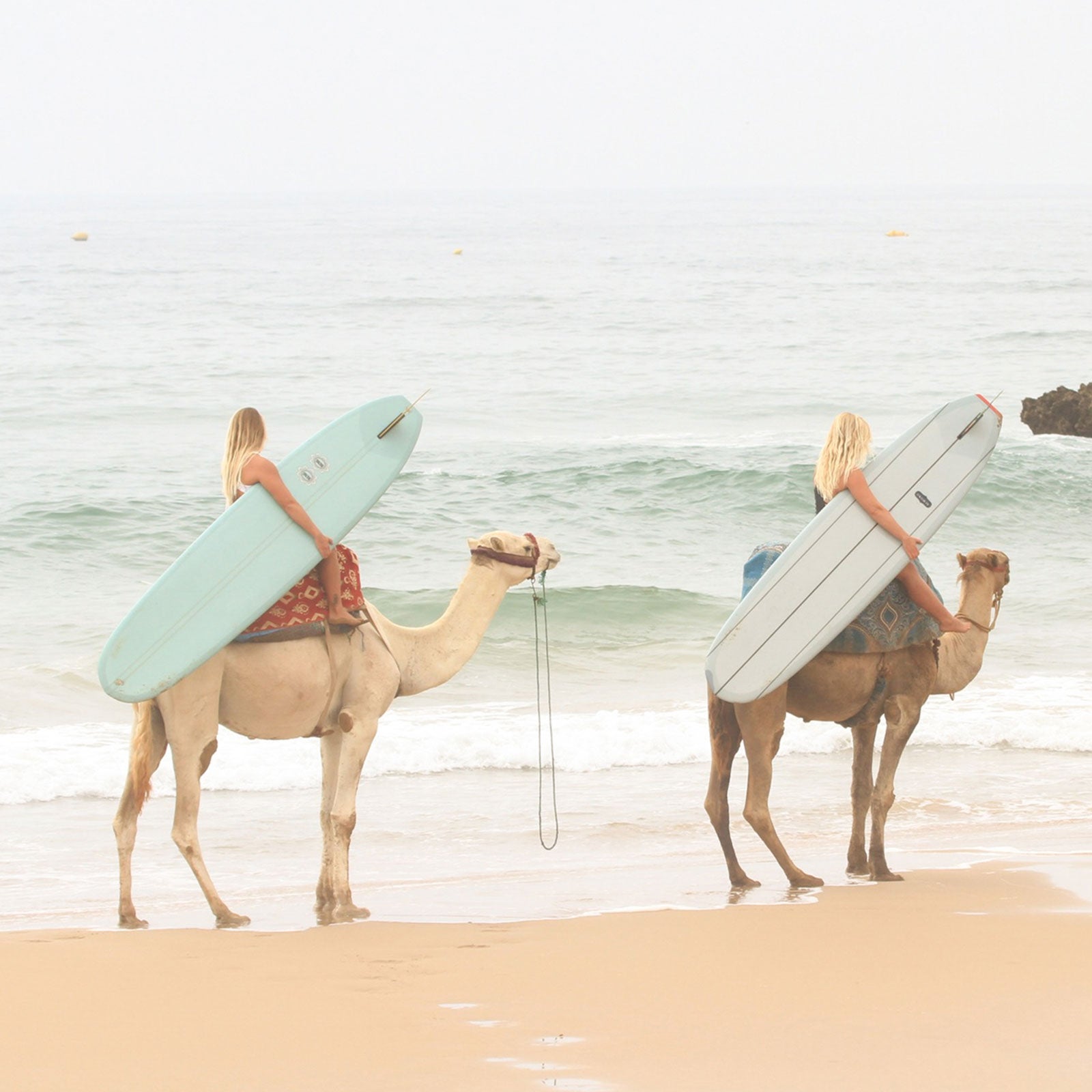 In Taghazout, Morocco, the waves are good and the transportation to find them even better.Go with Surf Maroc.