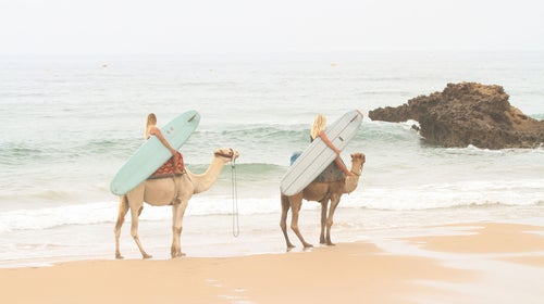 In Taghazout, Morocco, the waves are good and the transportation to find them even better.Go with Surf Maroc.