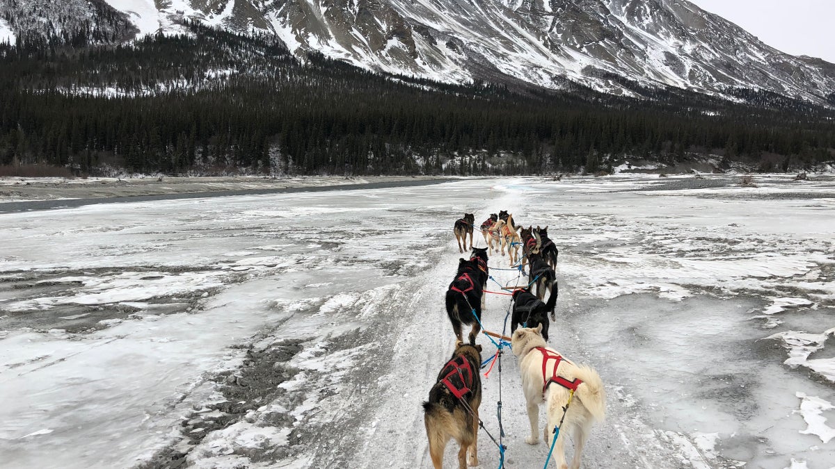 Blair Braverman on the Iditarod, Fear, and Resilience