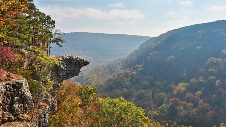 a cliff against a birds-eye-view of trees in fall colors