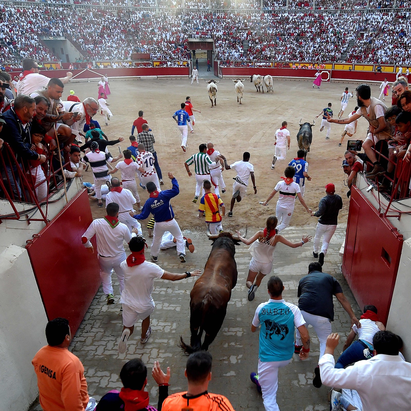 Pamplona Bull Run - Ability Games