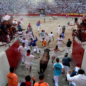 Runners lead a bull into the bullfighting arena