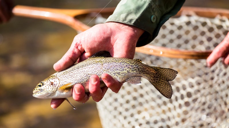 Beginner's Fishing Guide - Craghoppers