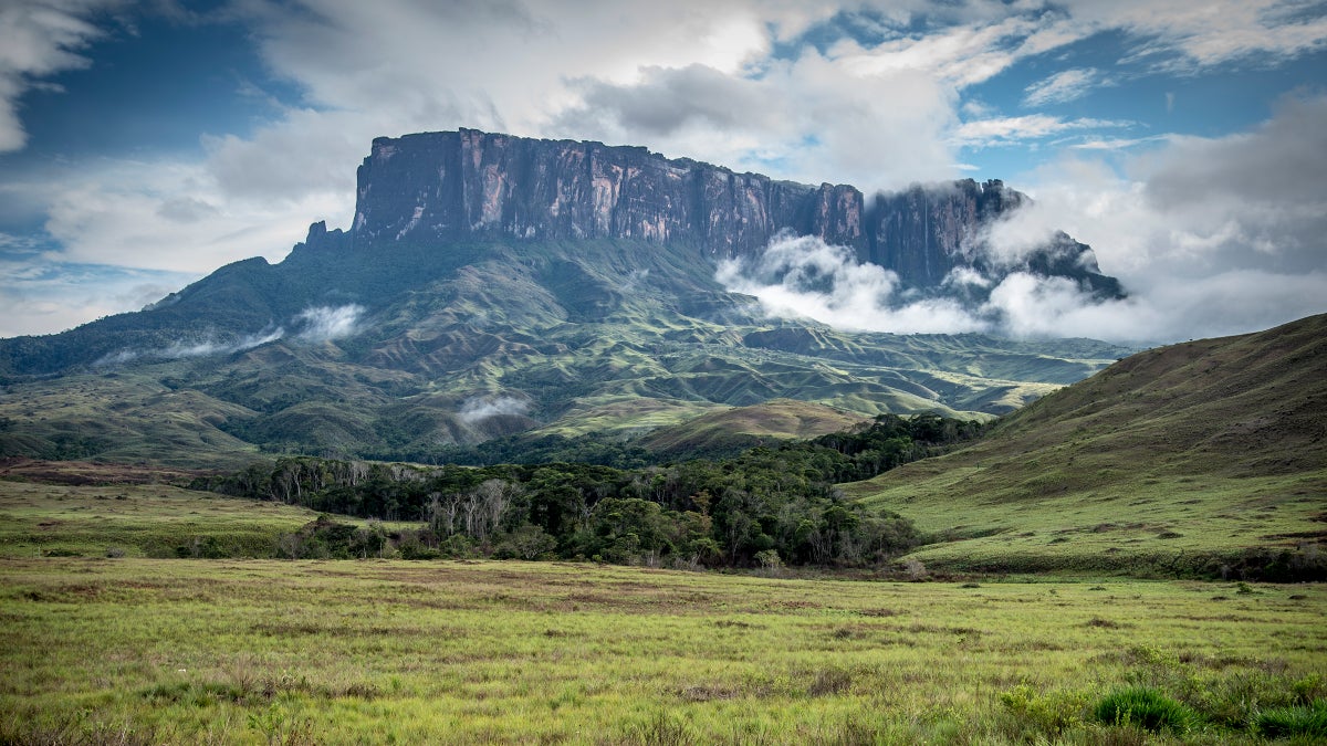 The Murder of Venezuela's Visionary ϳԹ Guide