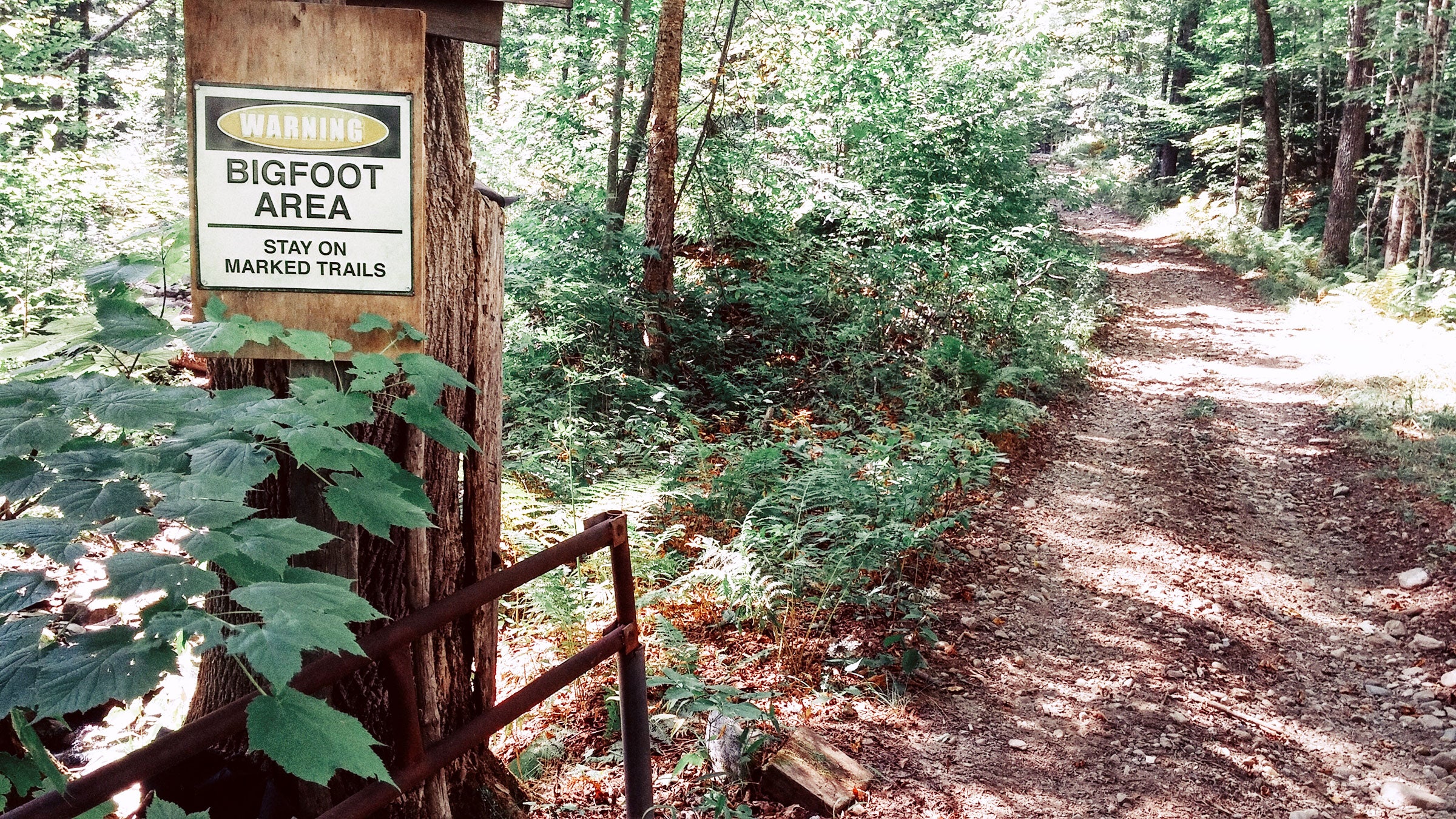 Bigfoot warnings in state parks are hoax: state agency 