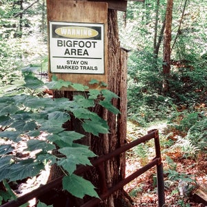 According to some, the Ohio Bigfoot has been living in the area for centuries. He just doesn’t want to be found.