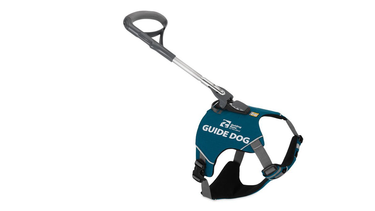 Ruffwear guide 2025 dog harness