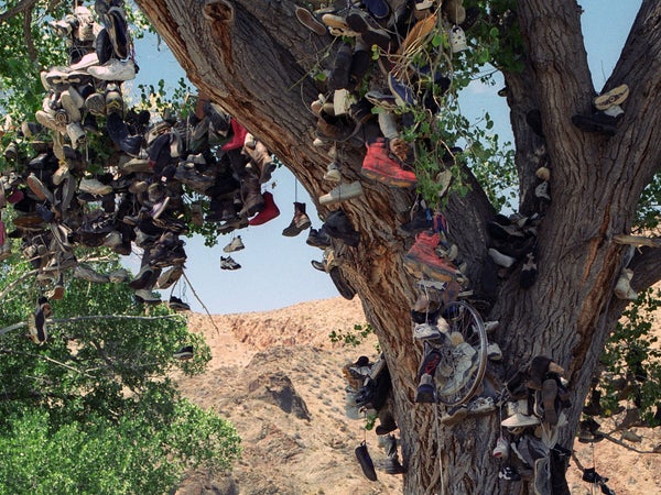 The shoe tree remains an elusive but iconic emblem of the West. We’re not going to tell you how to find it.