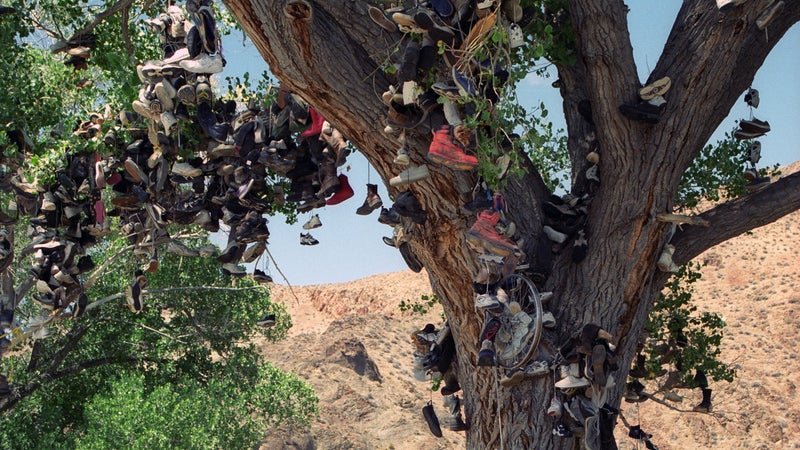 The shoe tree remains an elusive but iconic emblem of the West. We’re not going to tell you how to find it.