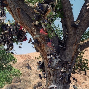The shoe tree remains an elusive but iconic emblem of the West. We’re not going to tell you how to find it.