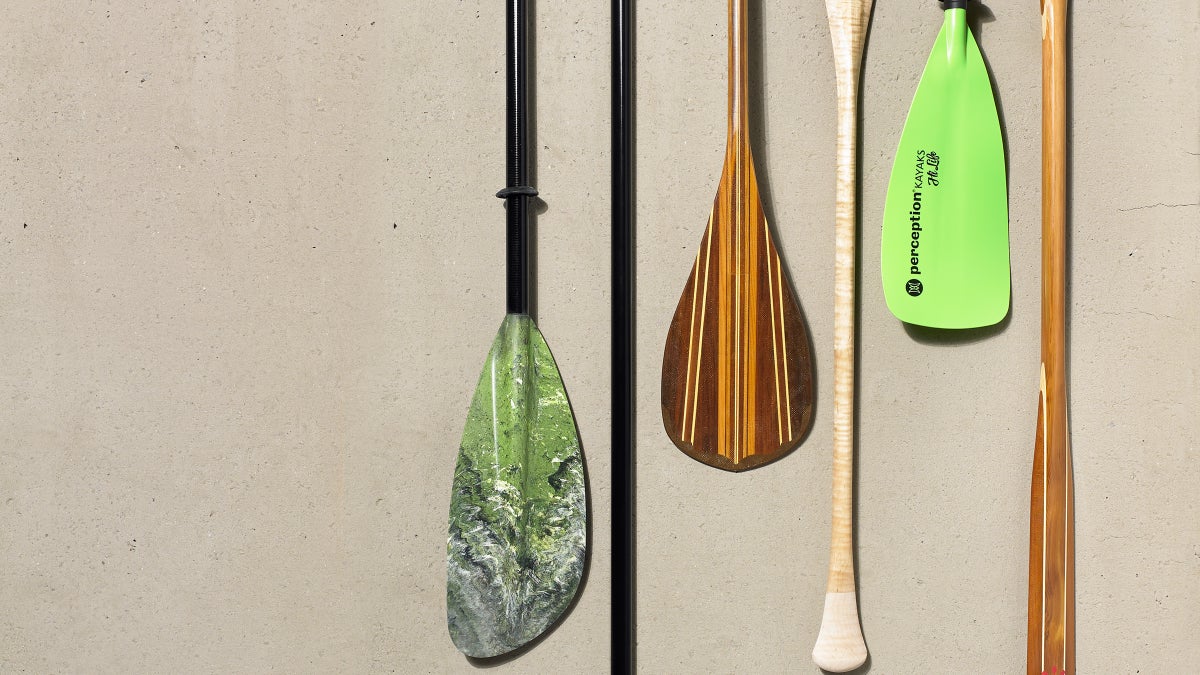 The Best Paddles of 2019