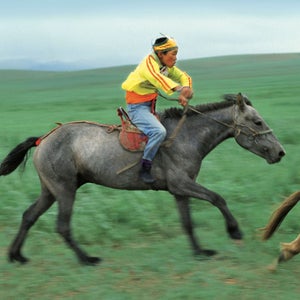 The Mongol Derby is one of the oldest, longest, hardest horse races in the world.