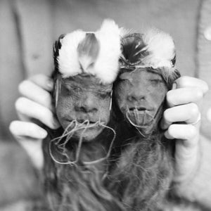 Gruesome rituals turned commercial—this is the story of why real human heads were shrunk for profit.