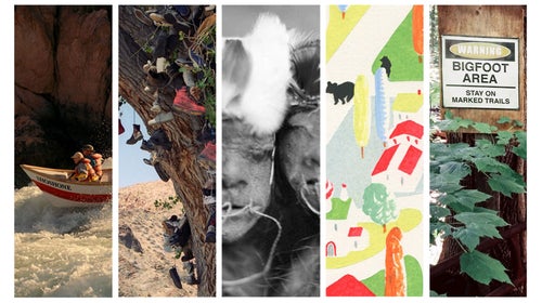 Outside’s weirdest stories range from shoe-trees to shrunken heads to bears invading towns.