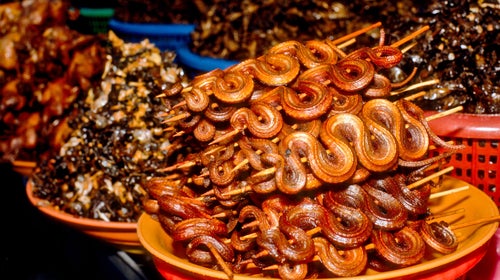 Sometimes the best revenge is cooked up and served on a platter.