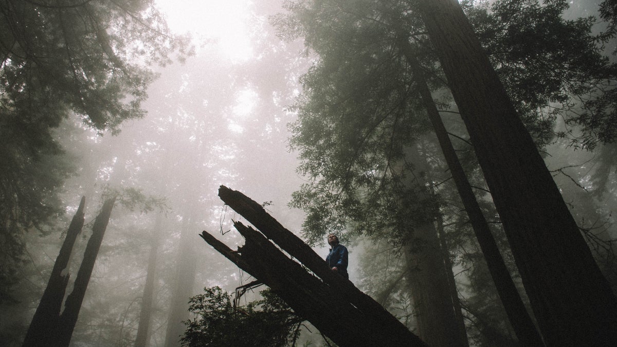 'The Edge of Every Day' Grapples with Schizophrenia