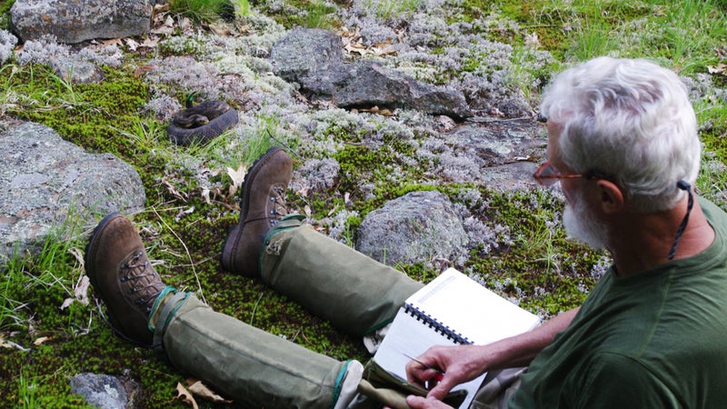 Brown relaxing near a rattlesnake