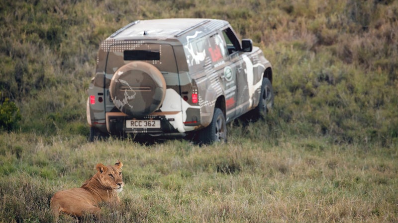 It appears as if the rear door will open sideways, as the Land Rover gods intended.