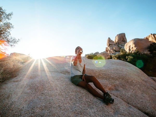 Fill your cooler with these brews.