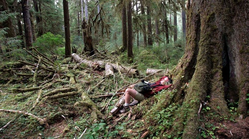 Gordon Hempton listening to the sounds of the Hoh Rainforest in 2006