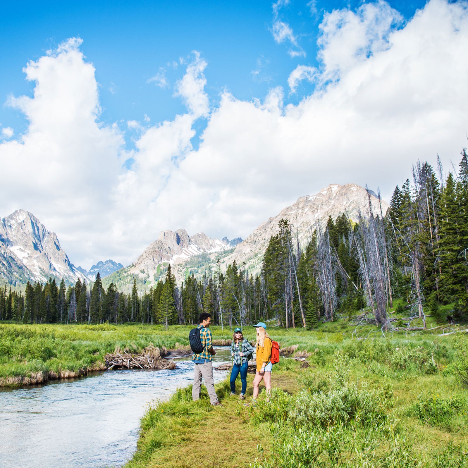 Campsites by 2025 the river