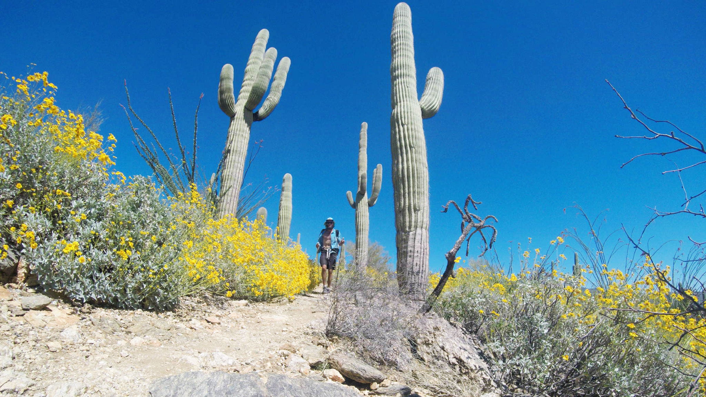 If You Don't Have Time for a Long Thru-Hike, the Arizona Trail Is