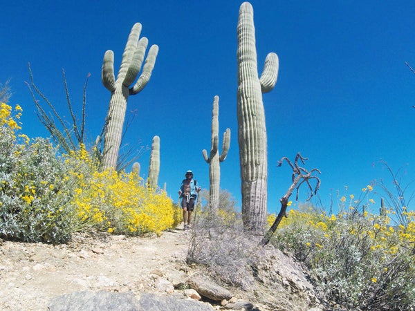Jeff “Legend” Garmire completed an 800-mile trail in less than 16 days.