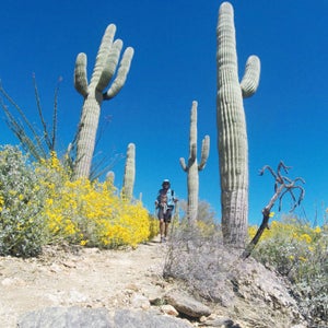 Jeff “Legend” Garmire completed an 800-mile trail in less than 16 days.
