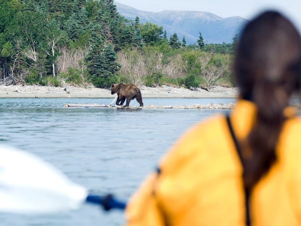 What to do with bear spray if you’re ever charged by a bear